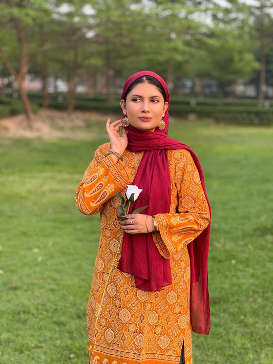 Ajrakh Designer Kurti